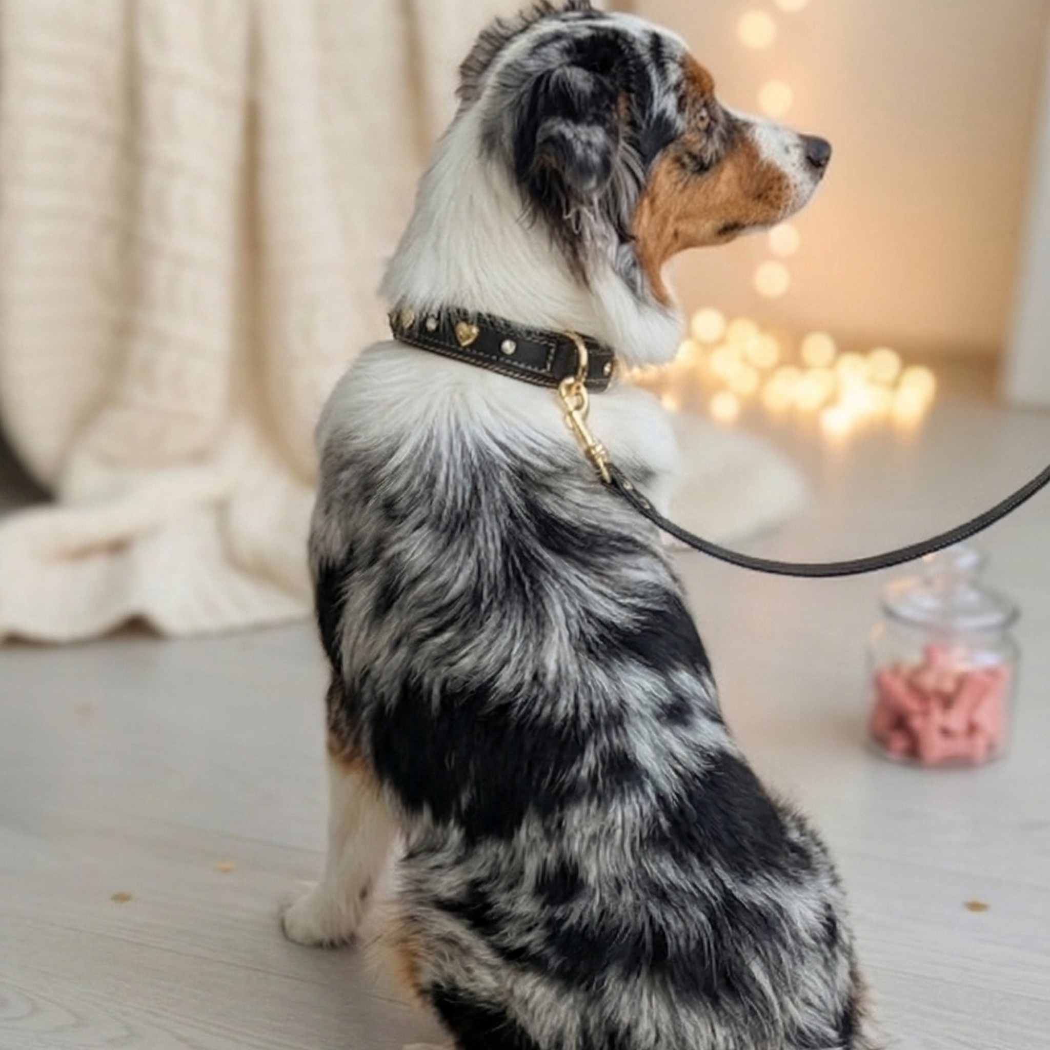 Set Collare con Cristalli e Guinzaglio in Pelle per Cani
